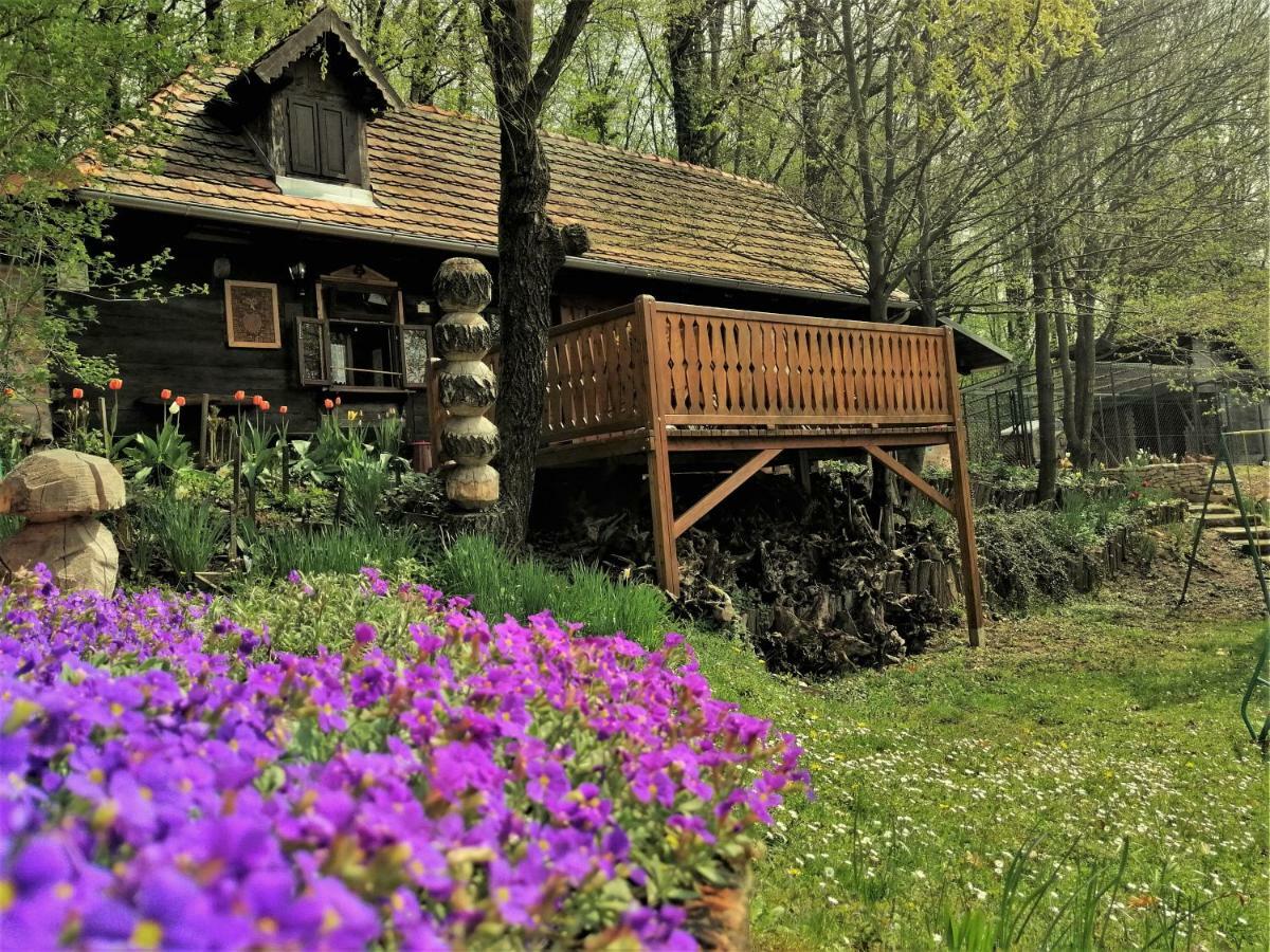 Country House With A Pool In Medvednica Nature Park Загреб Екстер'єр фото